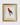 After Jacques Barraband – A Set of 10 Limited Edition Reproduction Prints from Levaillant’s Histoire Naturelle des Perroquets - Brillig & Borogove | Decorative Antiques & Wallpapers