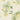 Angel's Delight Wallpaper - Brillig & Borogove | Fine Interiors