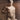 E. Bailleul – Academic Pencil Drawing after the Discobolus of Myron, 1888 - Brillig & Borogove | Decorative Antiques & Wallpapers