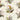 Ferngully Wallpaper - Brillig & Borogove | Decorative Antiques & Wallpapers