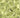 Lotus Pond Wallpaper - Brillig & Borogove | Decorative Antiques & Wallpapers