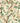 Ramoli Wallpaper - Brillig & Borogove | Decorative Antiques & Wallpapers