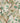 Ramoli Wallpaper - Brillig & Borogove | Decorative Antiques & Wallpapers